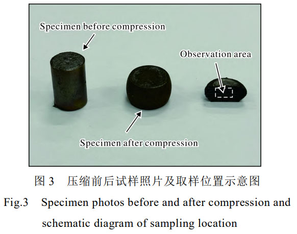 1753197689838410.jpg 未标题-1.jpg