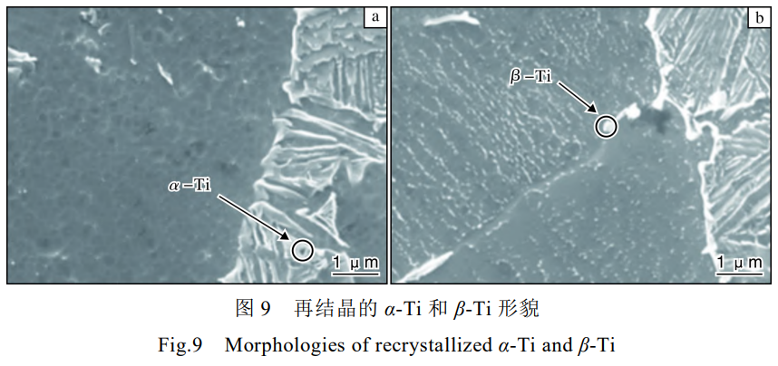 1753198130669885.png 截图20250722232838.png