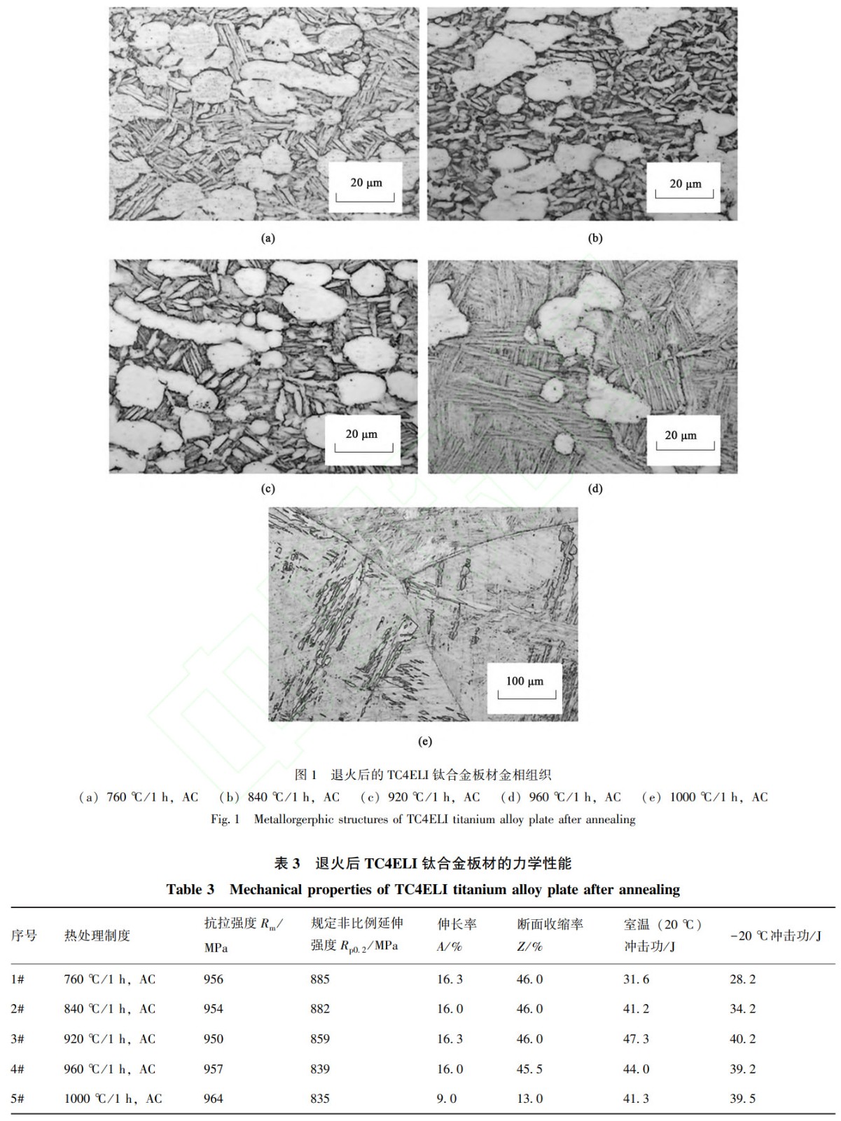 1756346610223189.jpg 未标题-2.jpg