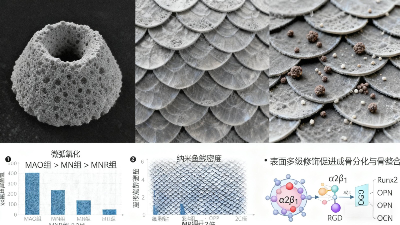 1761703044937501.jpg 3.jpg