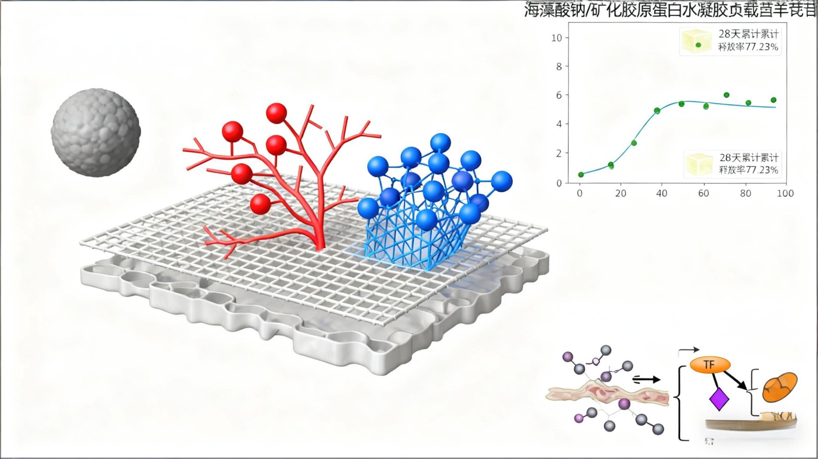 1761703053963683.jpg 4.jpg