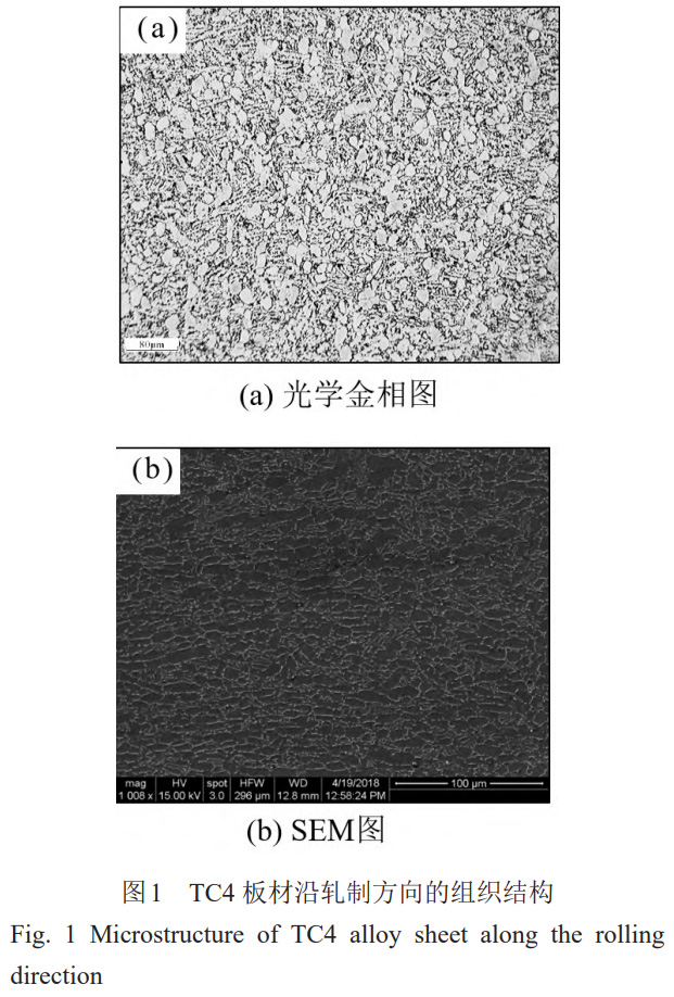 1764387146782171.jpg 未标题-1.jpg