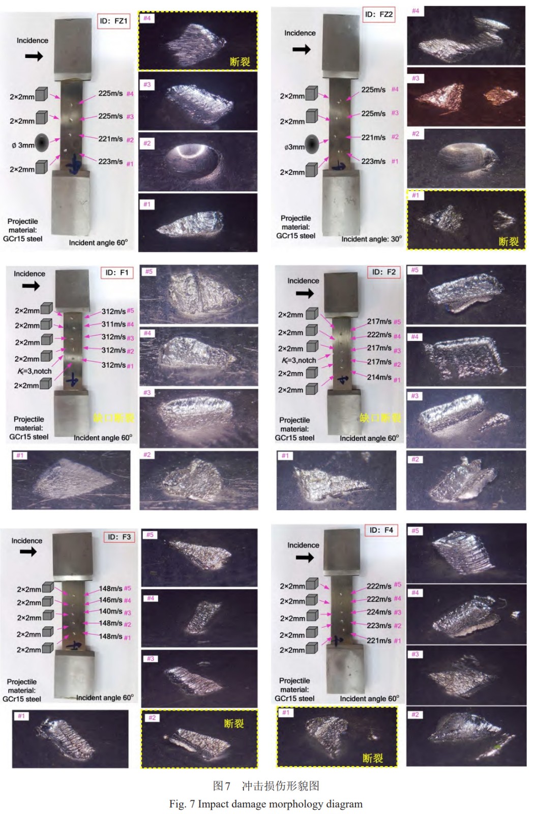 1764387270910264.jpg aa111.jpg