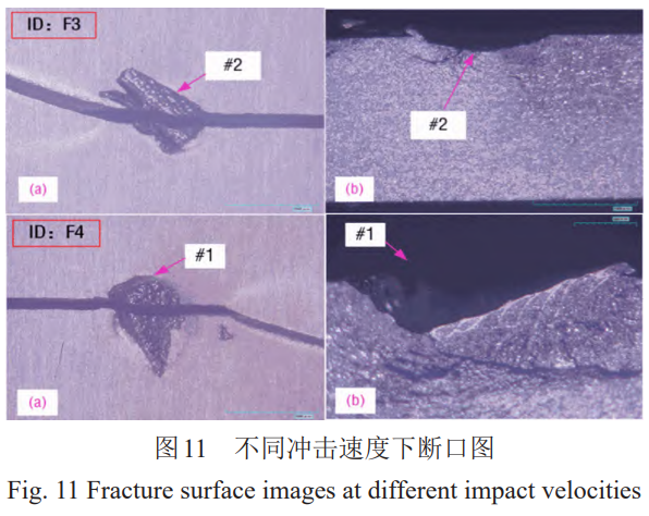 1764387318153461.png 截图20251126112908.png