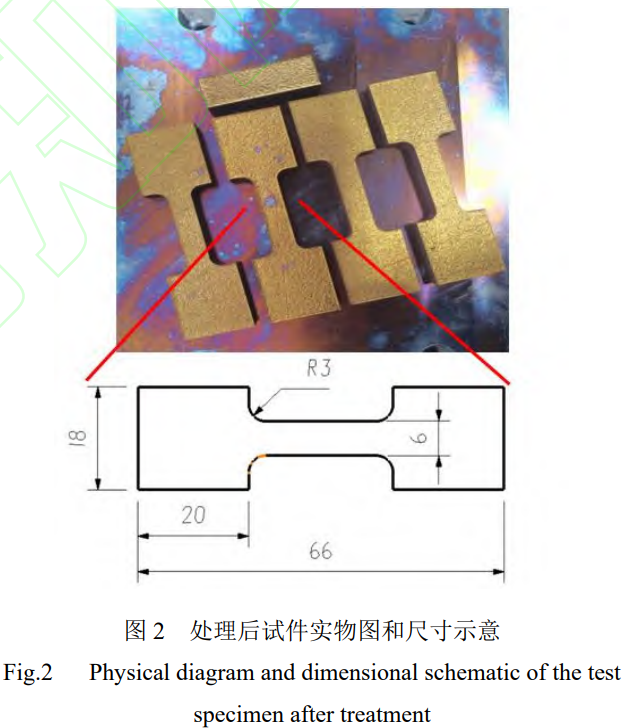 1764401659626696.png 2.png