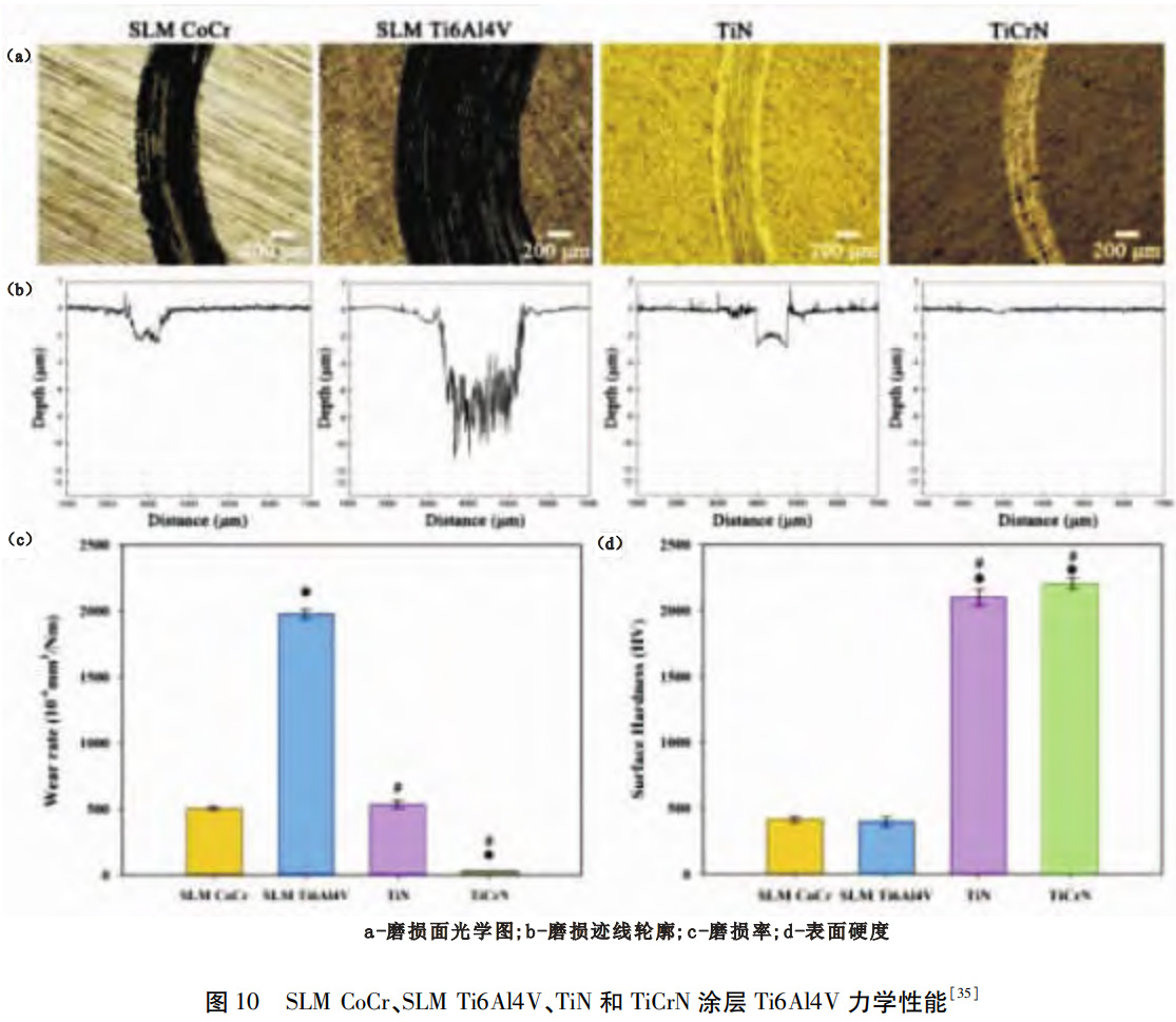 1764409616930935.jpg 10.jpg