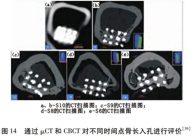 1764409693702305.png 14.png