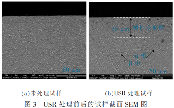 1764423527906818.png 截图20251129212949.png