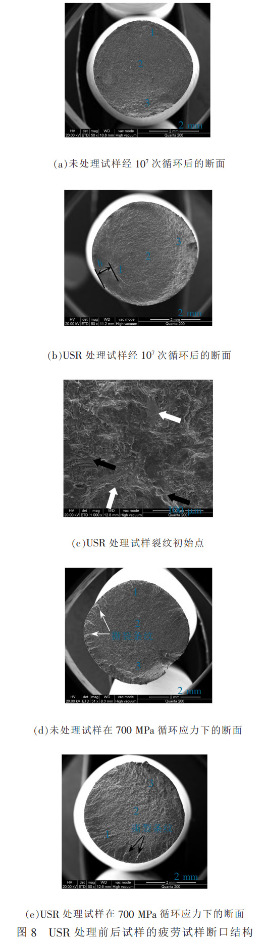 1764423599321800.jpg 未标题-1.jpg