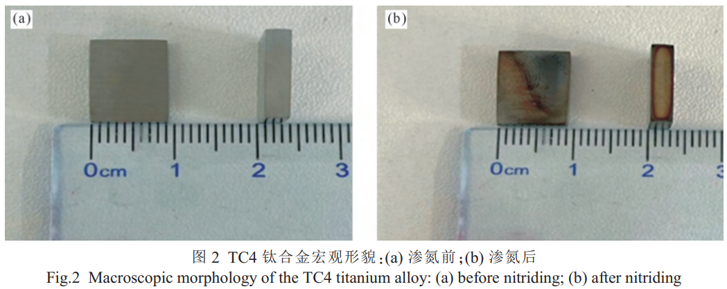 1765160039234811.png 截图20251208100519.png