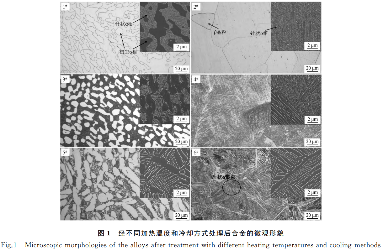 1765198077486060.png 截图20251208202709.png