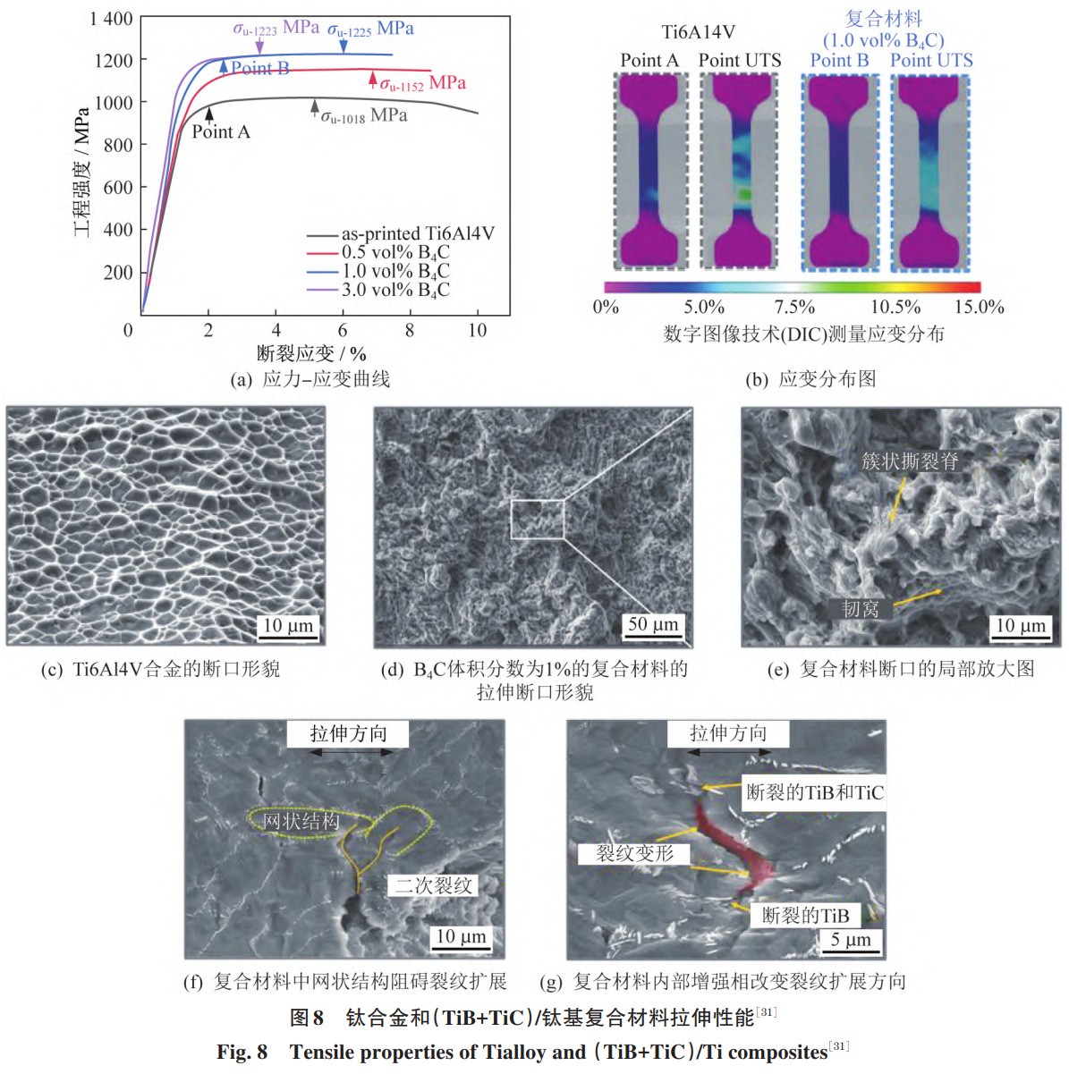 1766109554955224.jpg 8.jpg