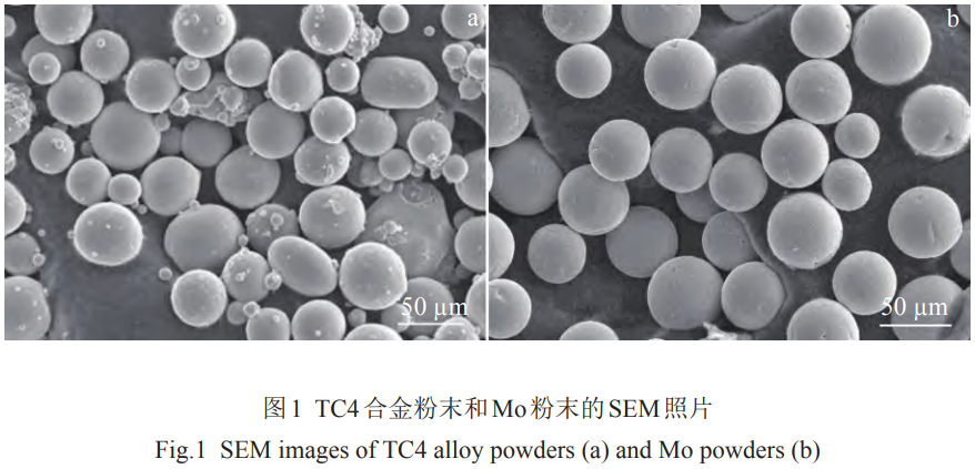 1769326573791160.png 1.png