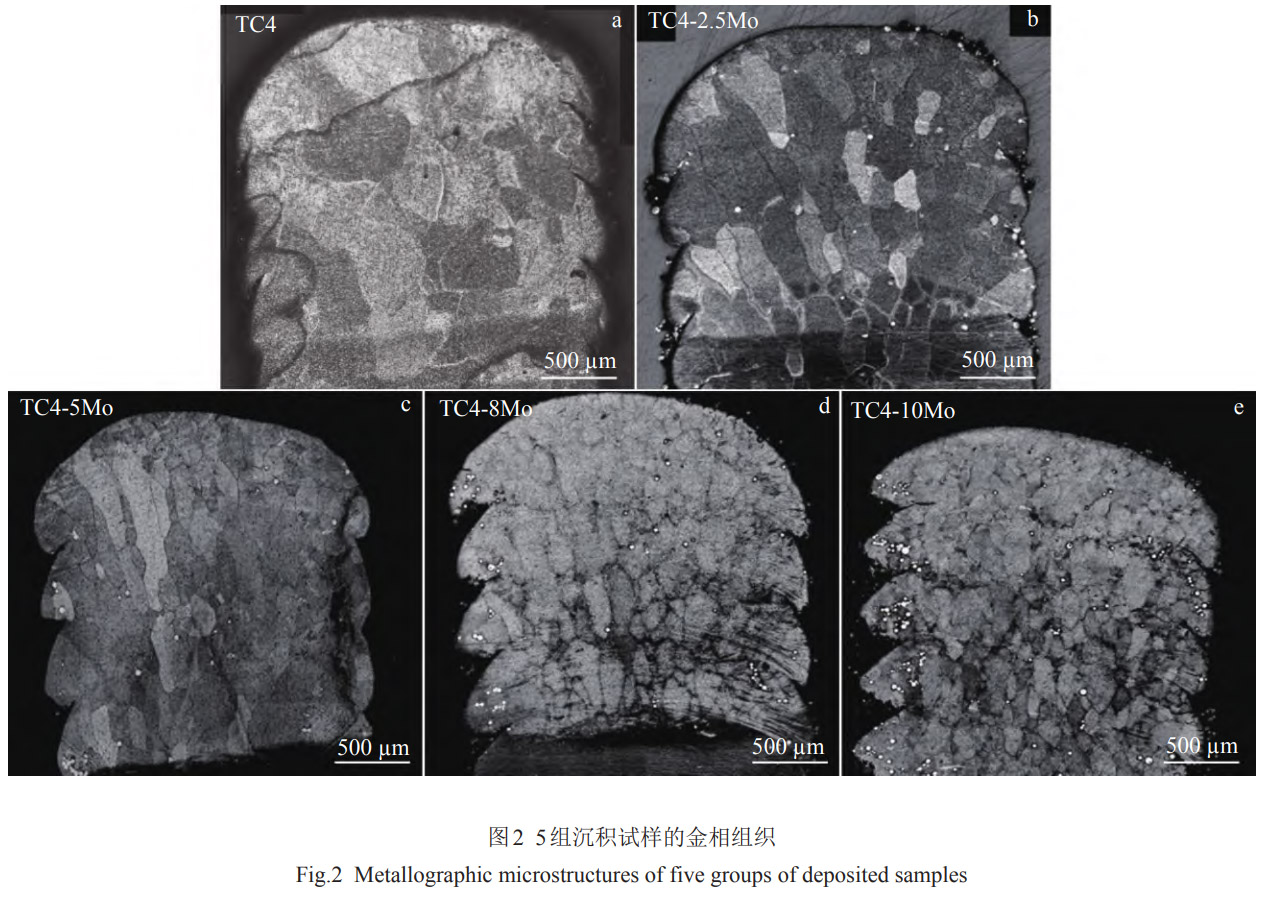 1769326600450408.jpg 2.jpg