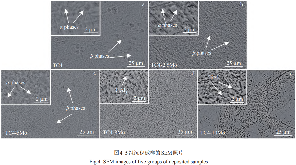 1769326650169394.png 4.png