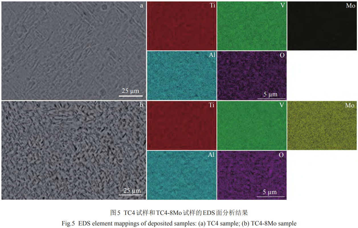 1769326659345776.png 5.png