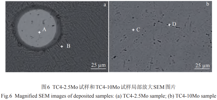 1769326667801105.png 6.png