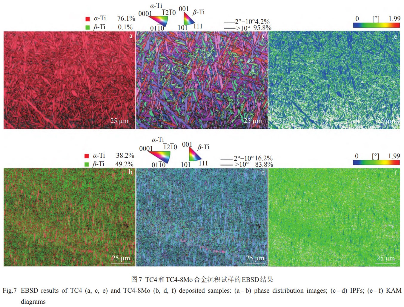 1769326685480643.jpg 7.jpg