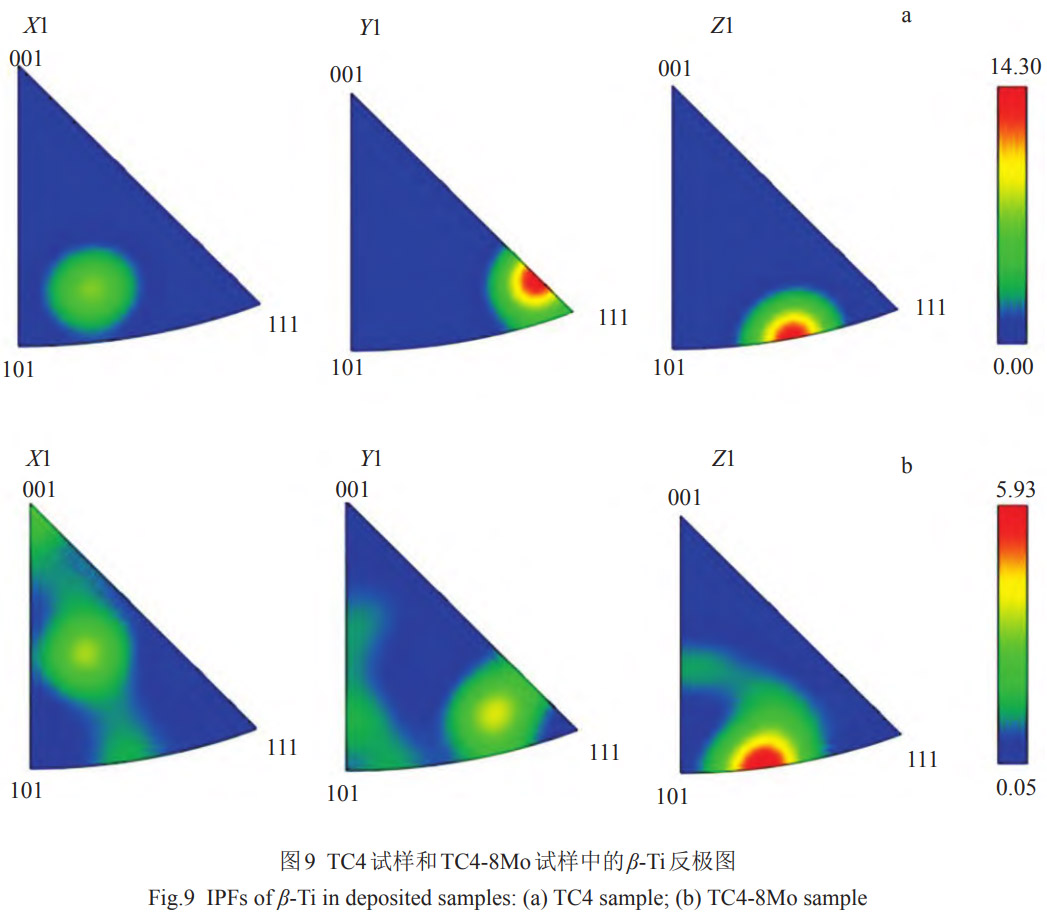 1769326701724674.jpg 9.jpg