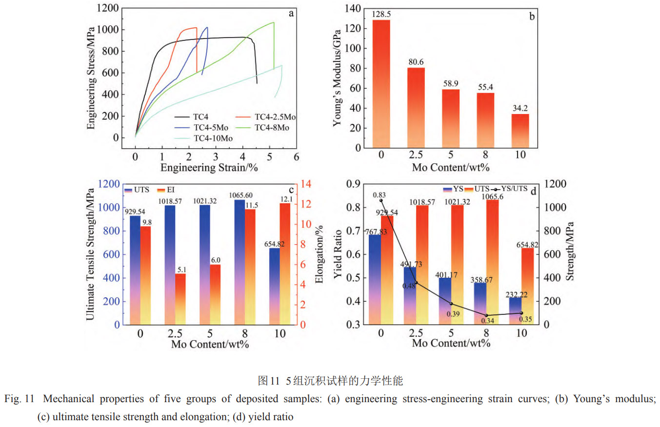 1769326720390568.jpg 11.jpg