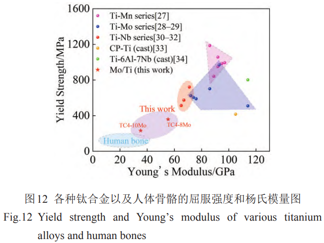 1769326731872985.png 12.png