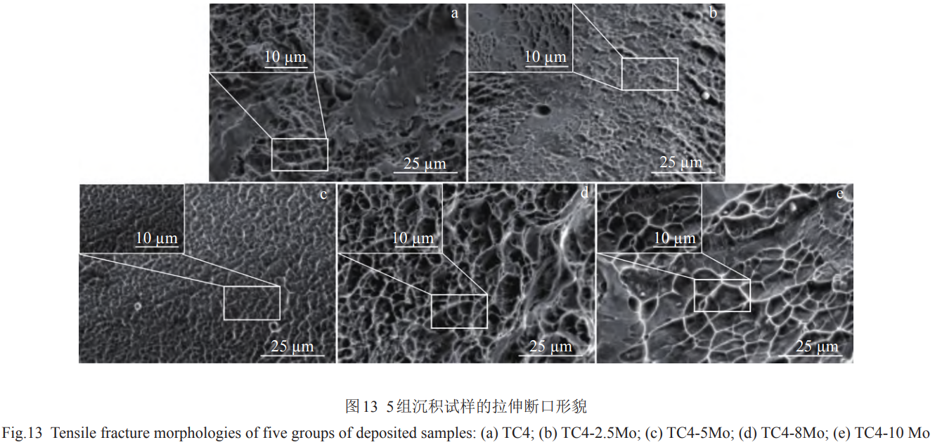 1769326738340823.png 13.png